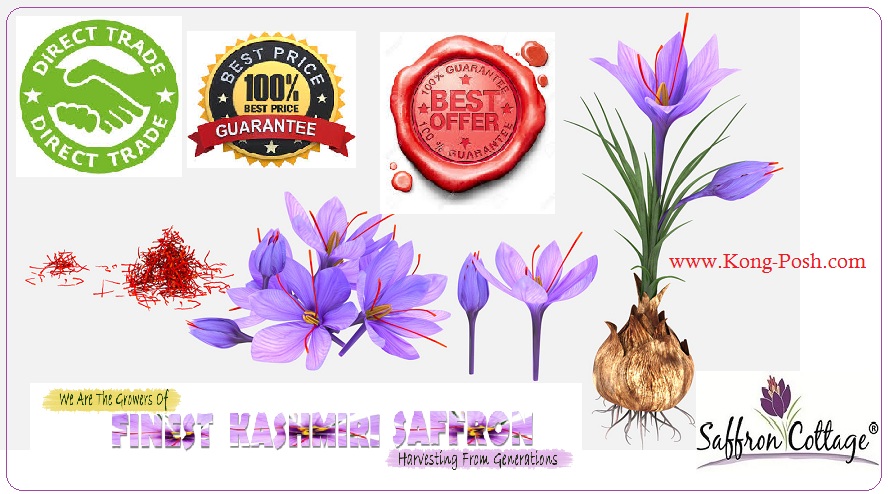 Discover the Finest Saffron Brands in Malaysia: Saffron Cottage, Authentic Kashmiri Saffron Growers
