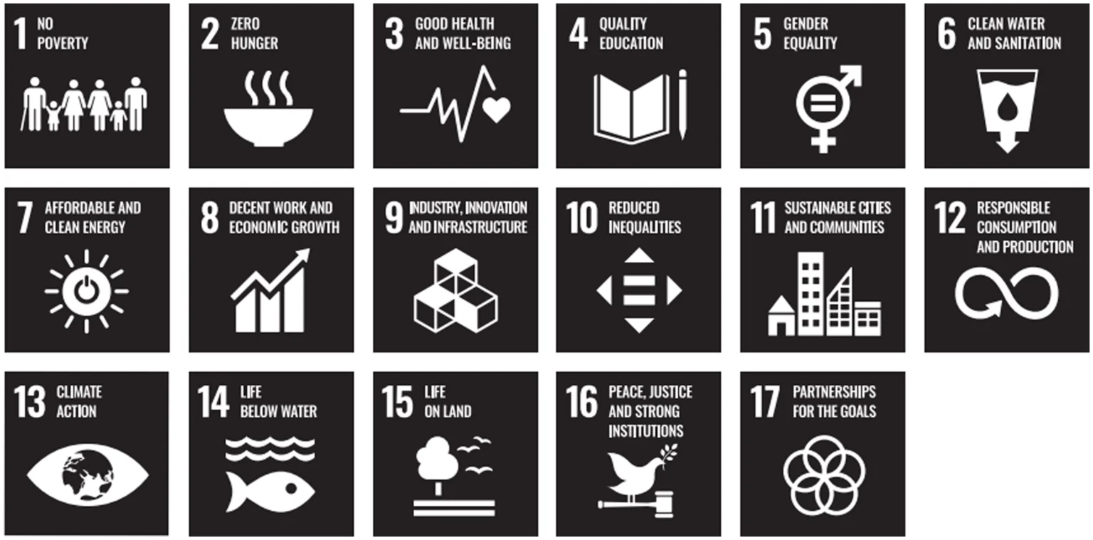 FejiRun’s Commitment to the 2030 Agenda: Driving Sustainable Development and Global Impact