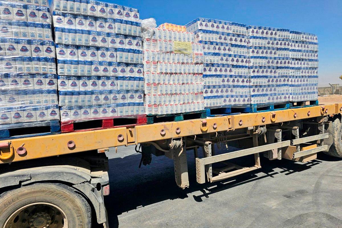 Humanitarian Aid Enters Gaza Amid Struggles, Delays, and Deep Desperation