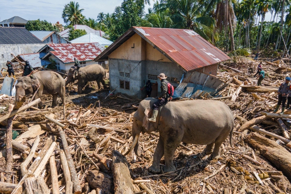 Death Toll Climbs to 950 in Indonesia Floods as Shortages Deepen Across Sumatra